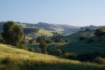 Scène rurale sereine dans une zone naturelle protégée avec des collines ondulantes